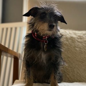 Meet your Posher, Jody